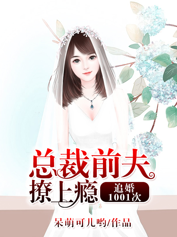 总裁前夫追婚1001次