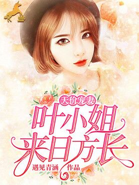 天价宠妻:叶小姐，来日方长