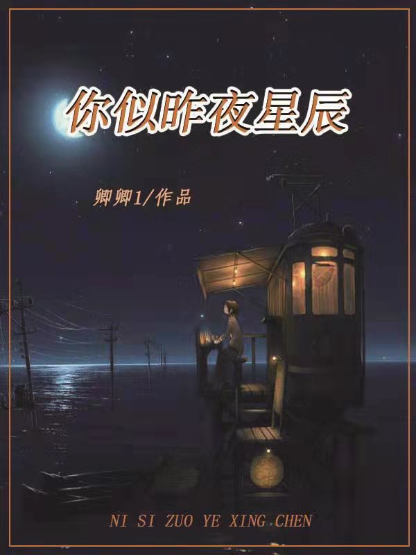 你似昨夜星辰