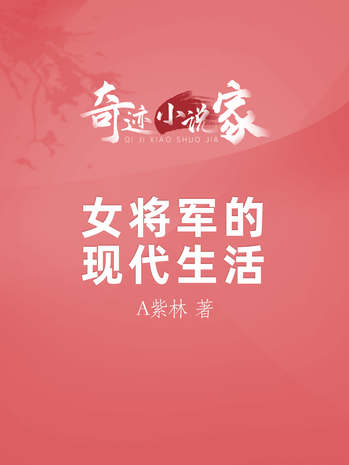 女将军的现代生活