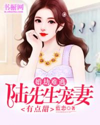 婚劫难逃：陆先生宠妻有点甜