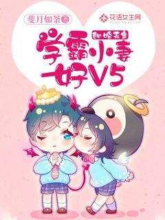 甜婚天定：学霸小妻好V5