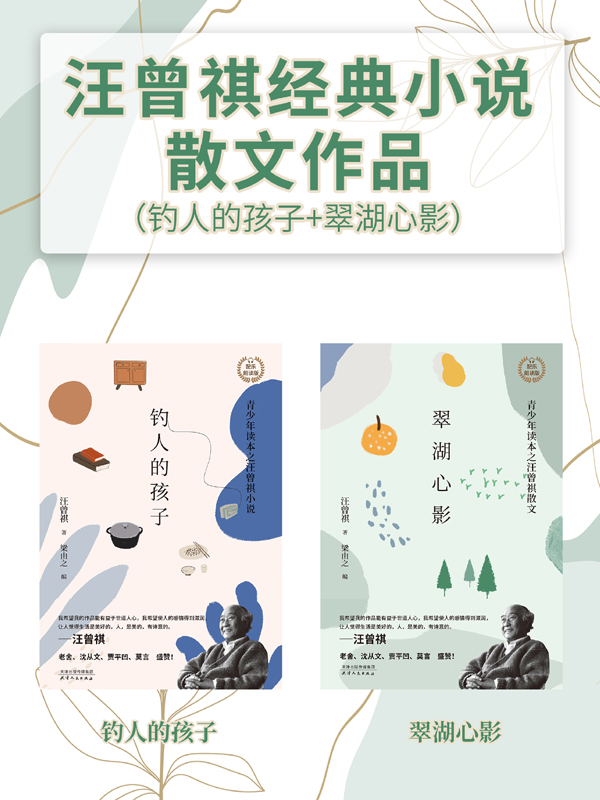 汪曾祺经典小说散文作品（共2册）