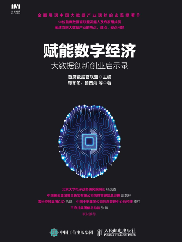 赋能数字经济：大数据创新创业启示录