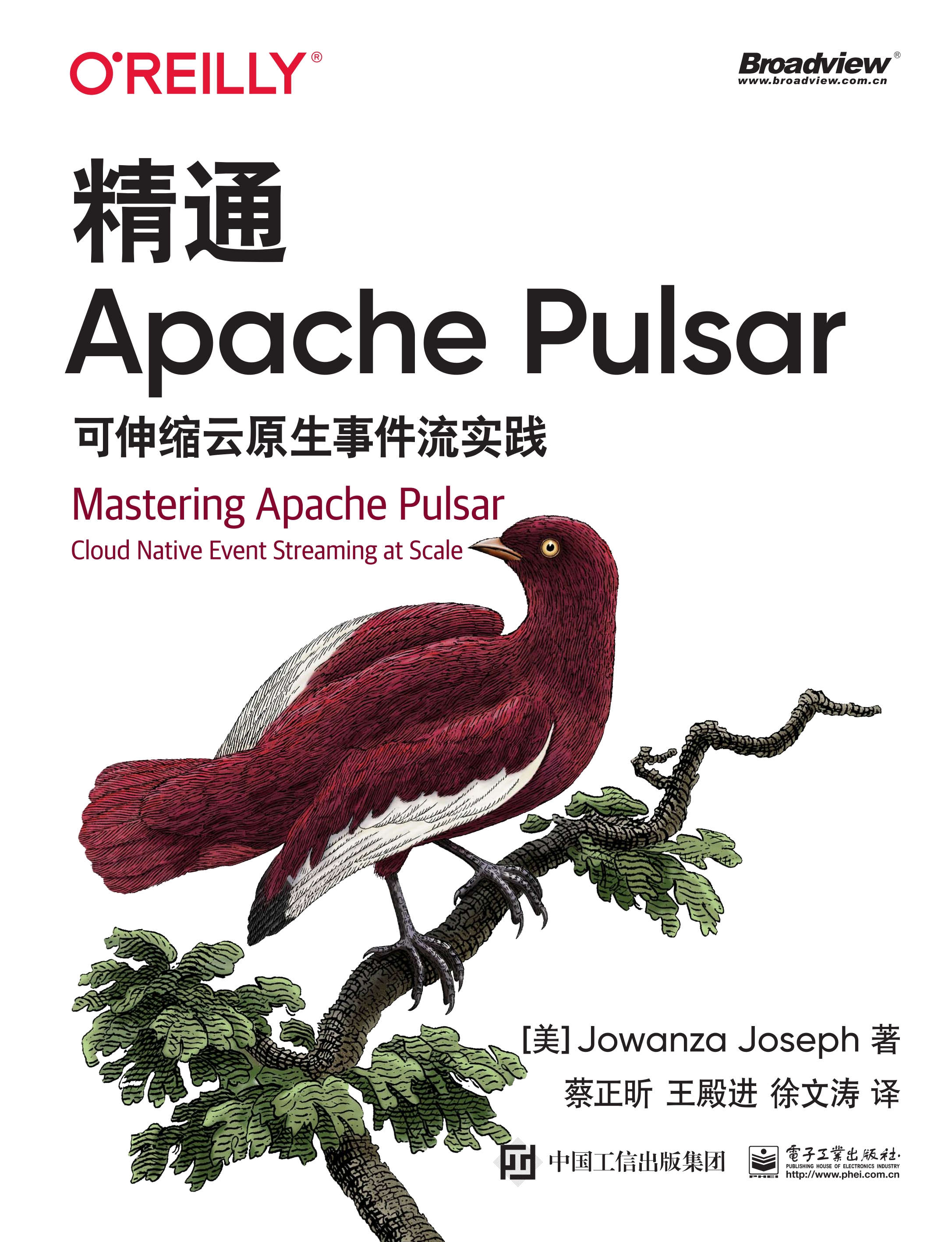 精通Apache Pulsar：可伸缩云原生事件流实践