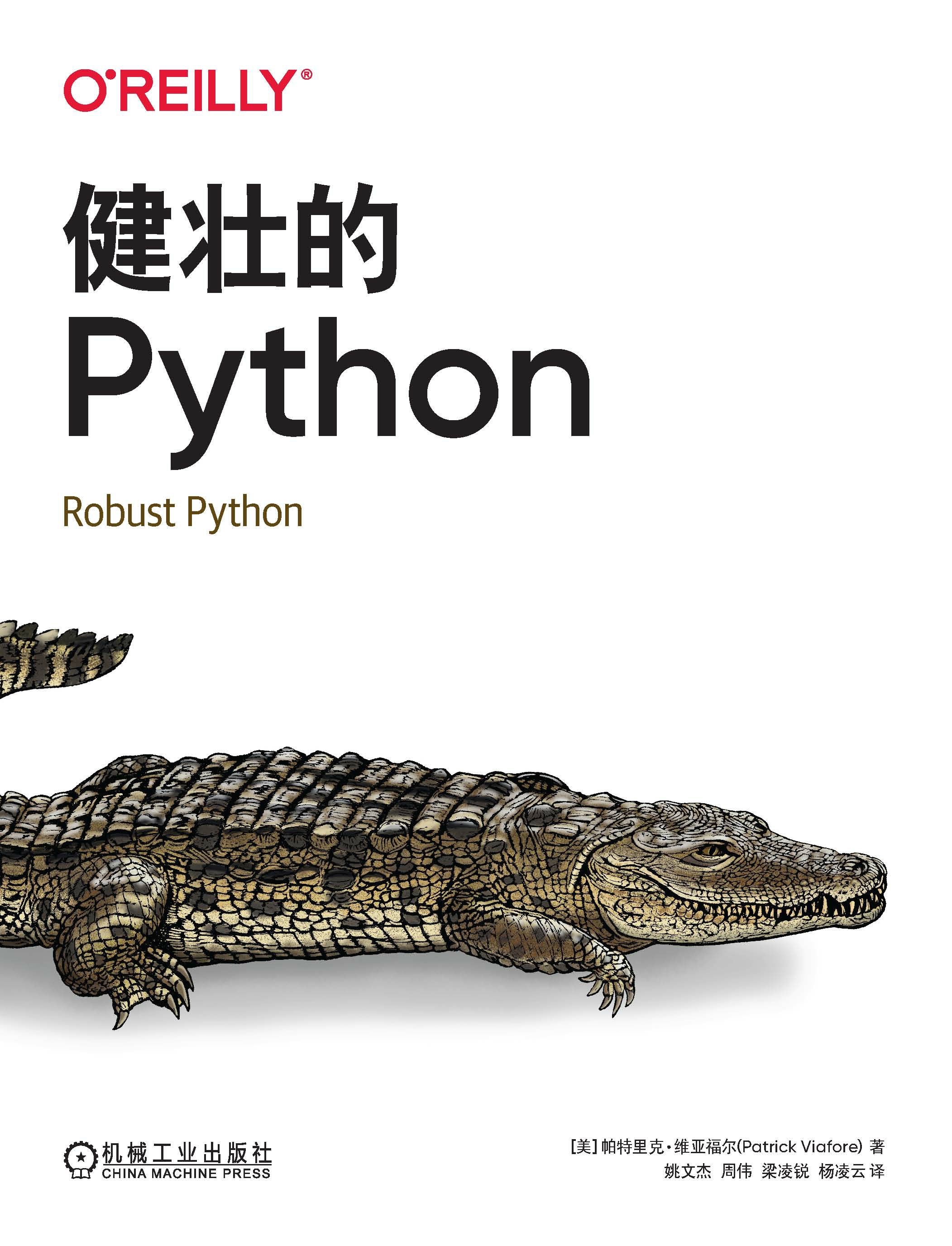 健壮的Python