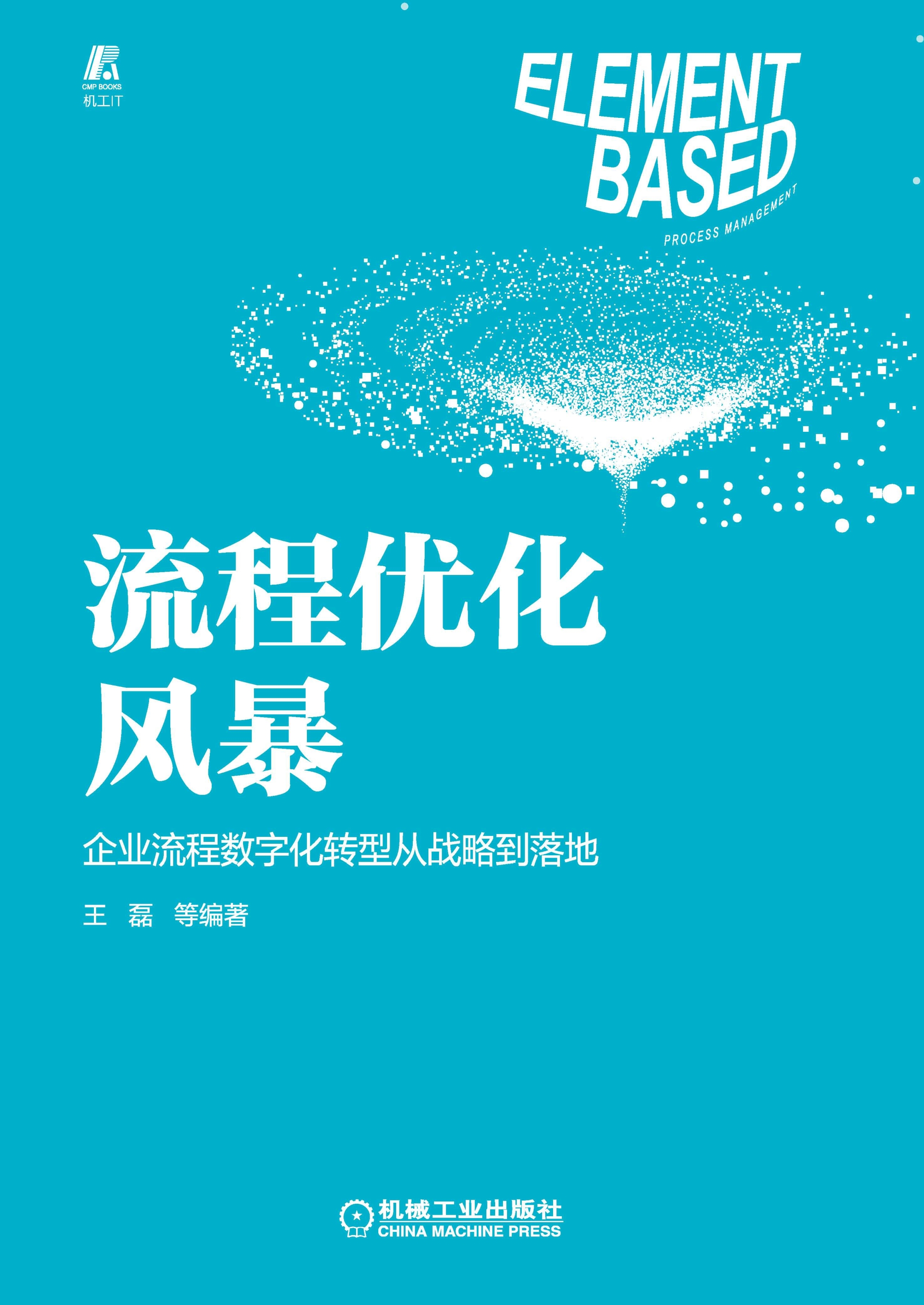 流程优化风暴：企业流程数字化转型从战略到落地