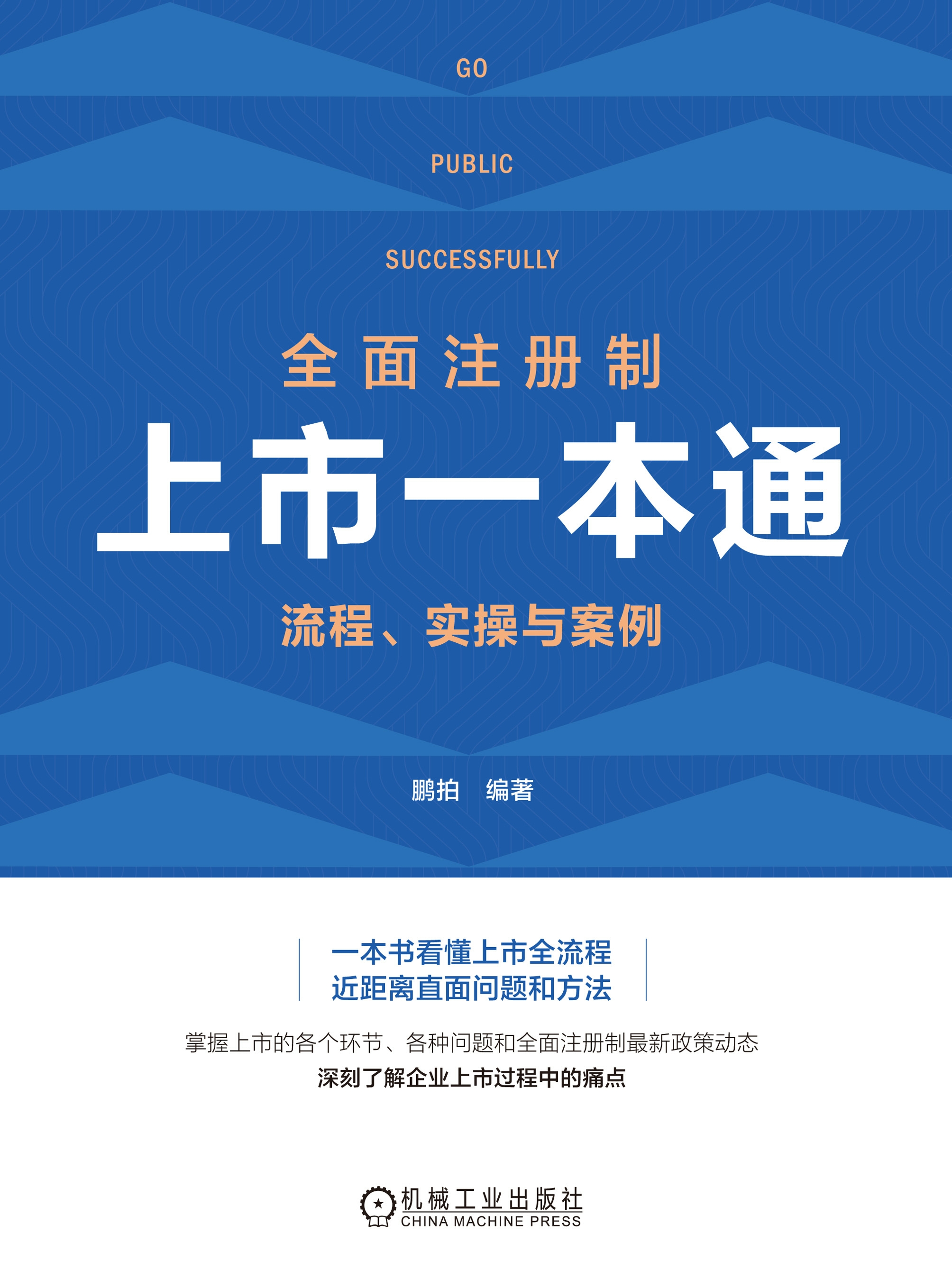 全面注册制上市一本通：流程、实操与案例